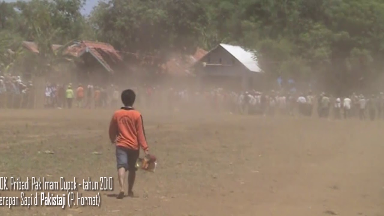 KERAPAN SAPI PAKISTAJI PROBOLINGGO TAHUN 2010