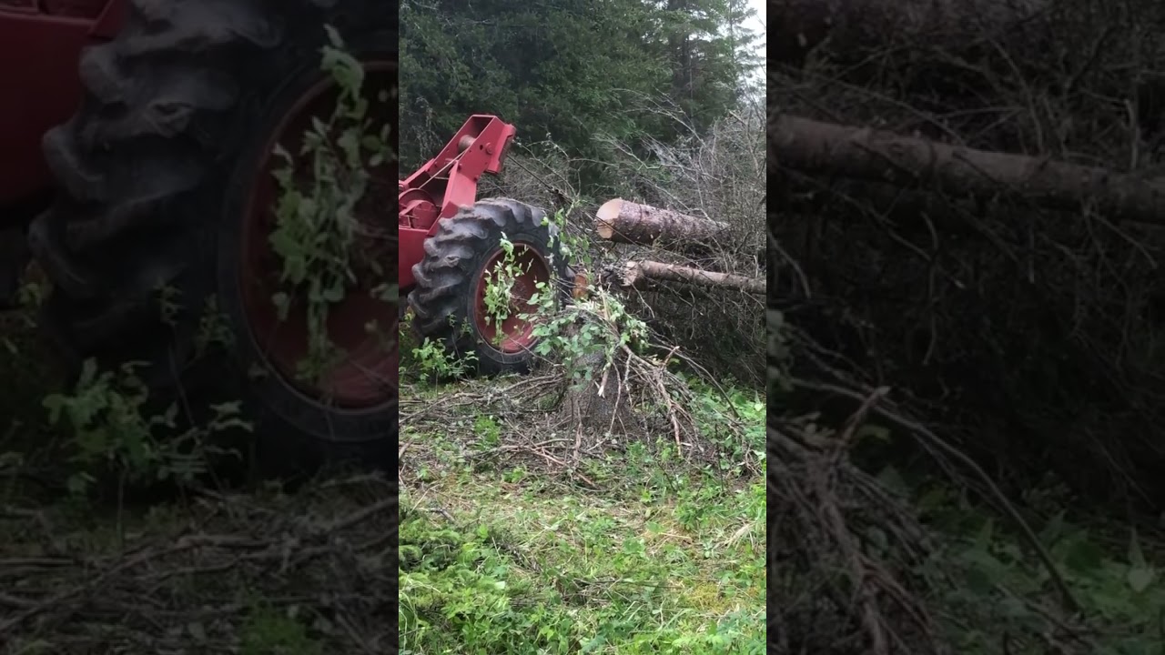 230 timber jack 