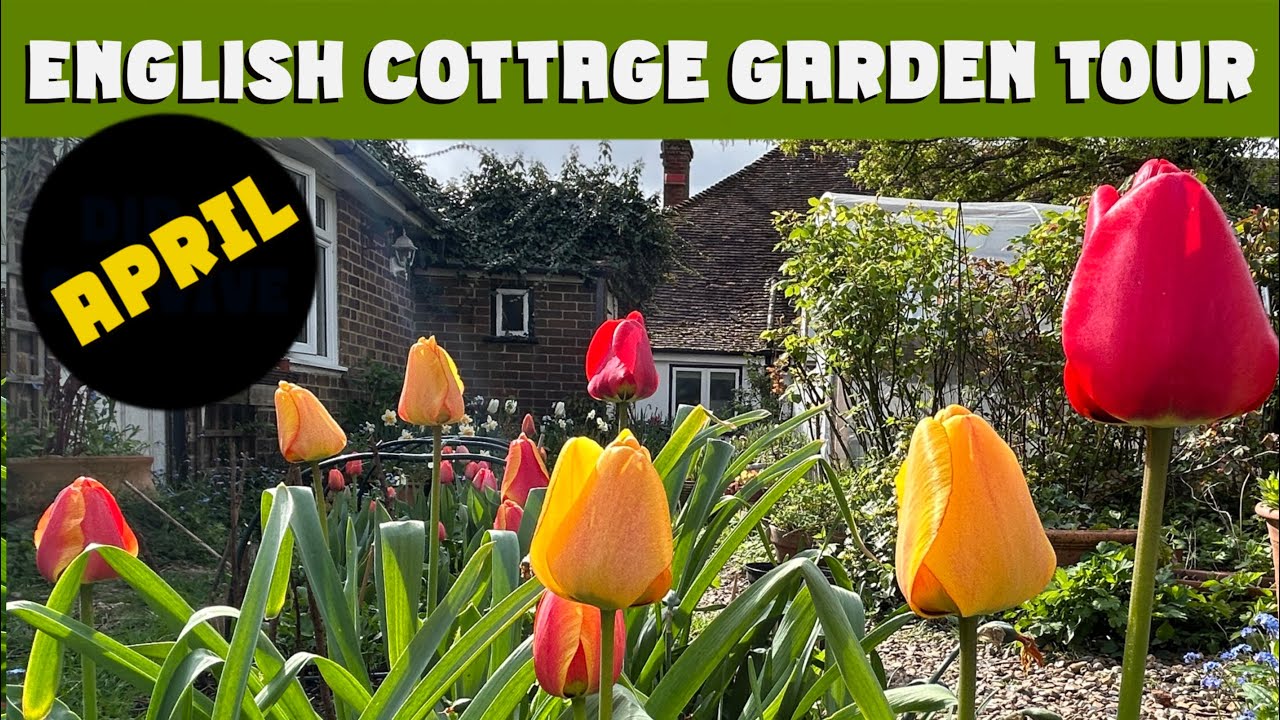 APRIL GARDEN TOUR: English cottage garden and greenhouse tour.