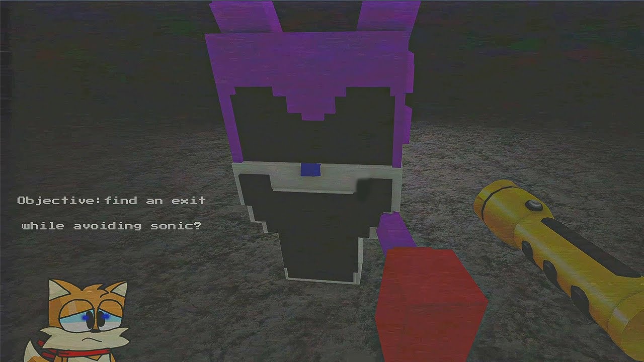 That ONE Sonic RP Game (Roblox)