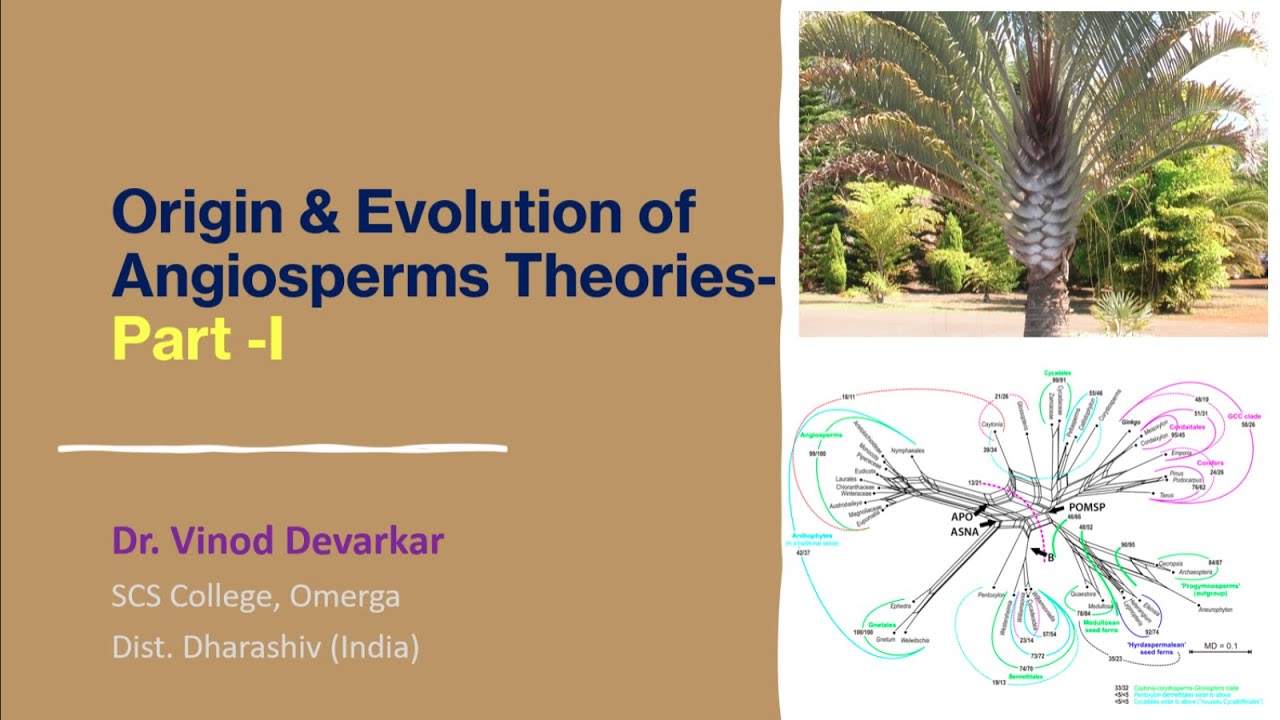 Origin, Evolution & Related Theories of Angiosperms-I by Dr. V. D. Devarkar