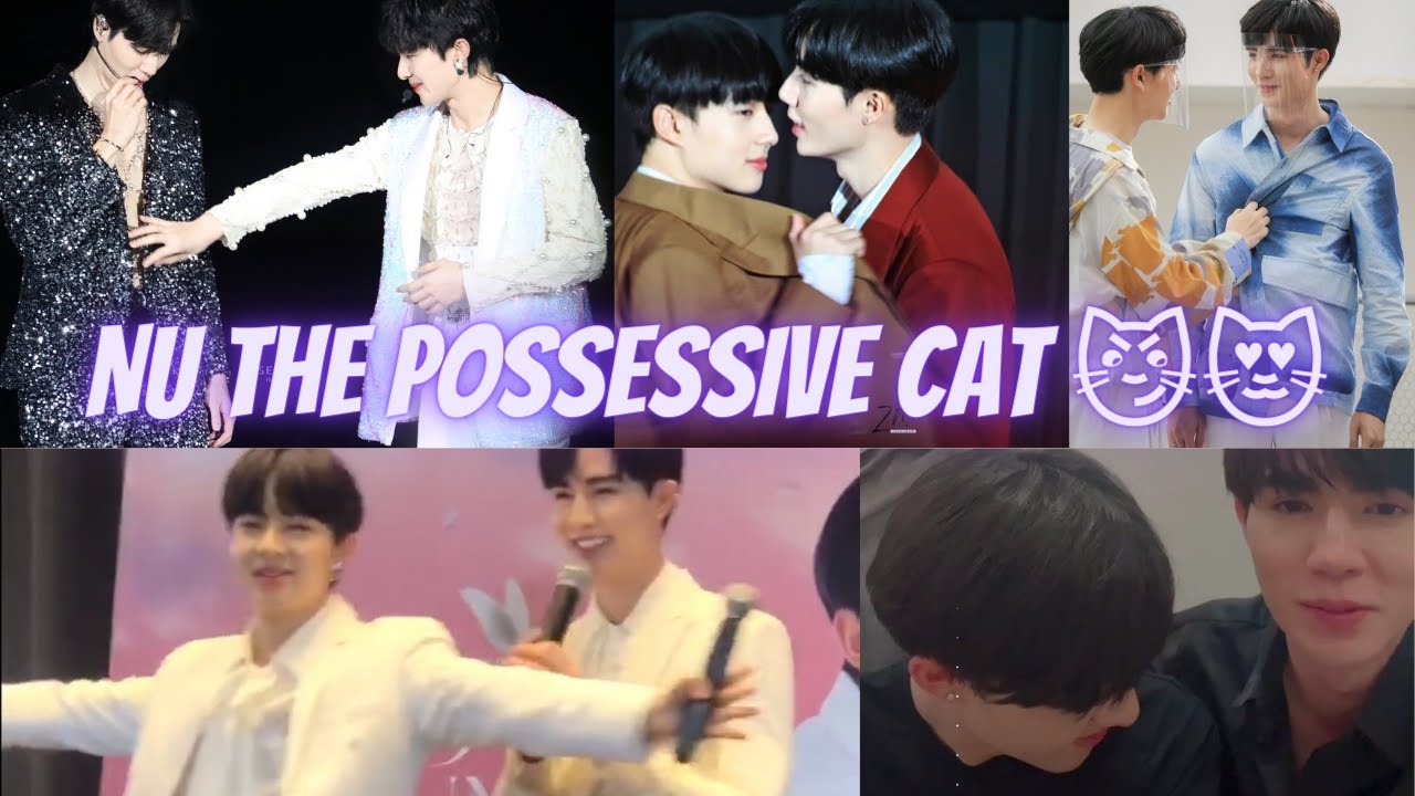 Nu the possessive cat 😼😻#zeenunew #zeepruk #nunew