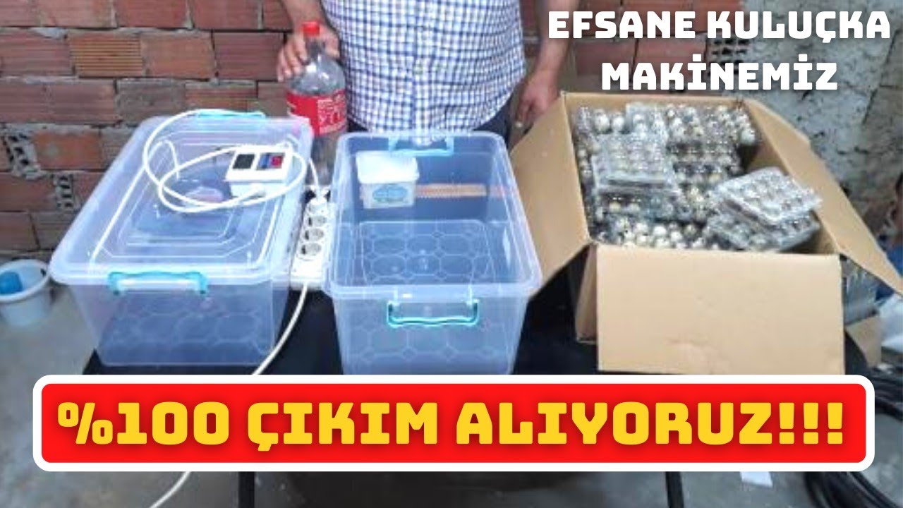 EL YAPIMI KULUÇKA MAKİNEMİZİ ÇALIŞTIRDIK
