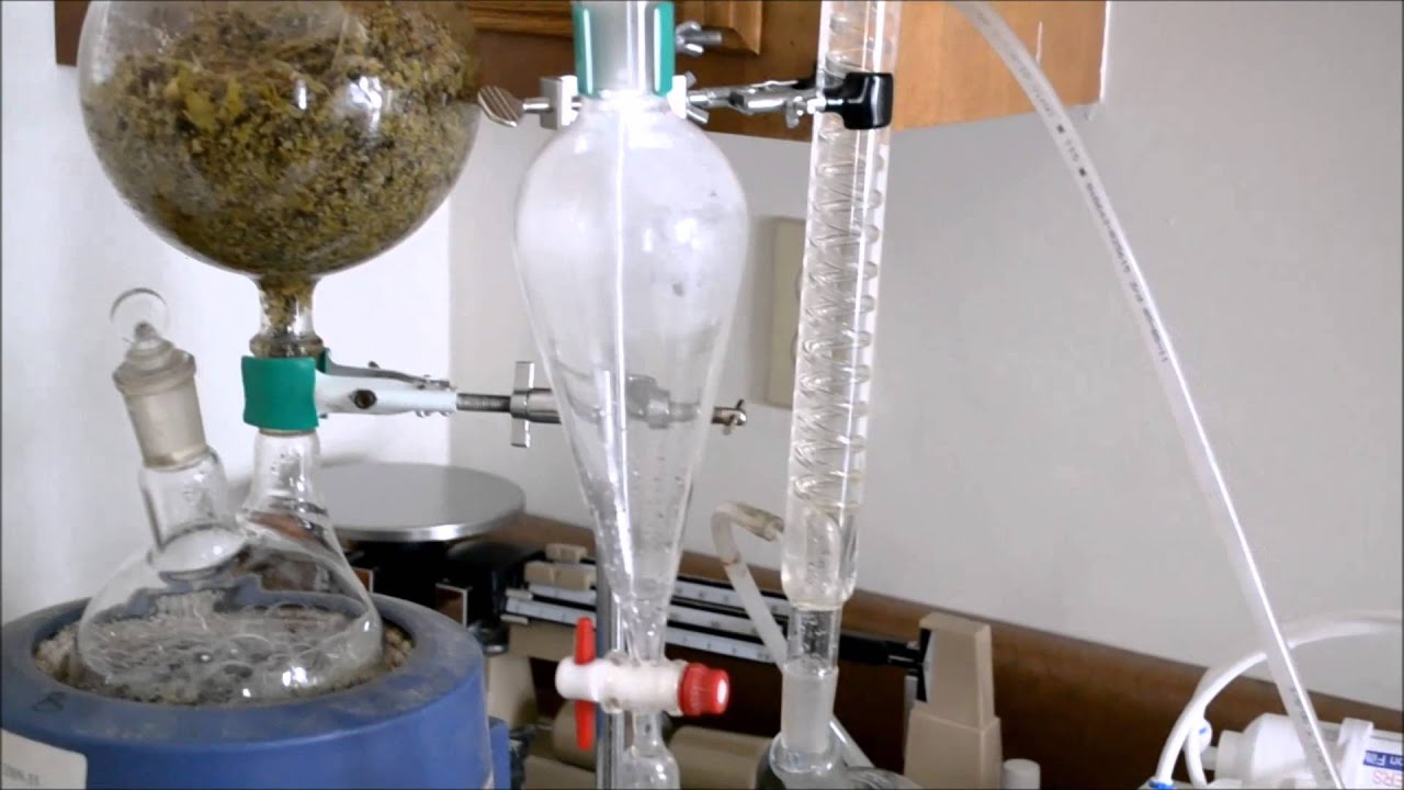 ESSENTIAL OIL DISTILLATION