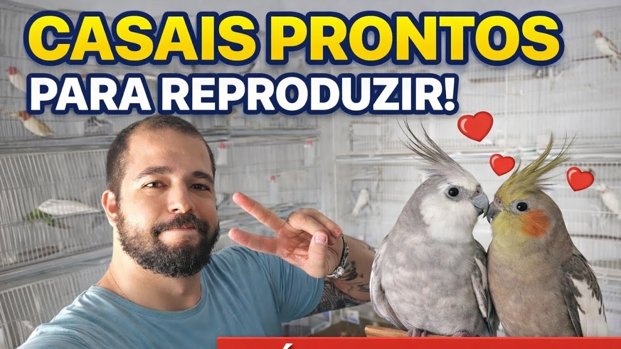 CASAIS PRONTOS PARA REPRODUZIR!  OLHAS AS MUTAÇÕES QUE VEM POR AÍ! 