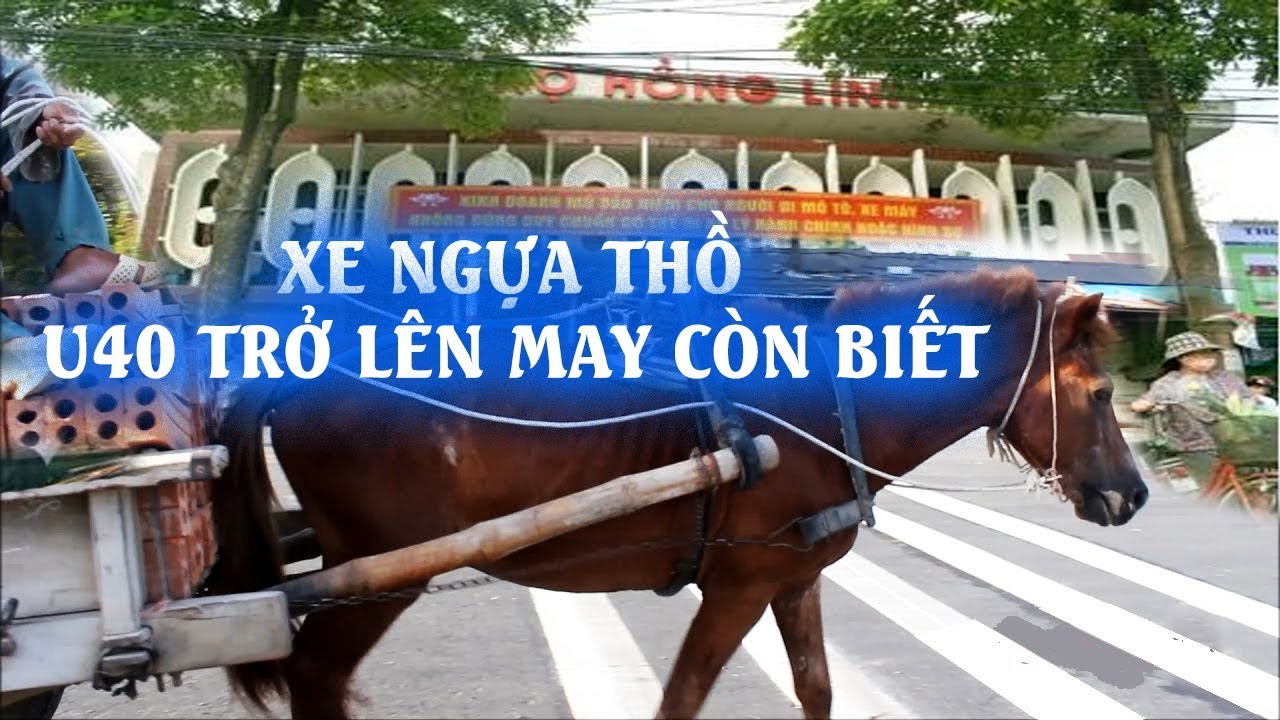 Xe Ngựa Thồ | Nét Đẹp Văn Hóa Người Hồng Lĩnh Hà Tĩnh