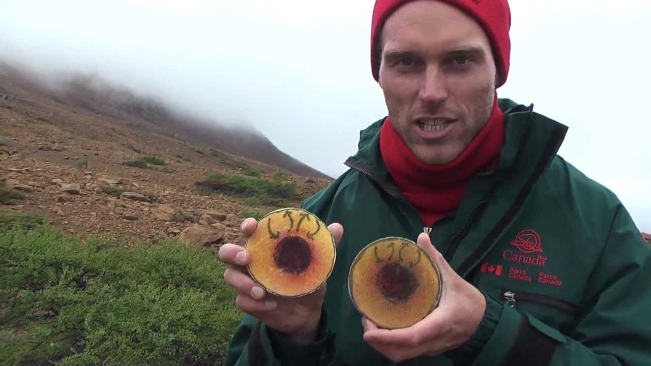 Gros Morne National Park - Newfoundland