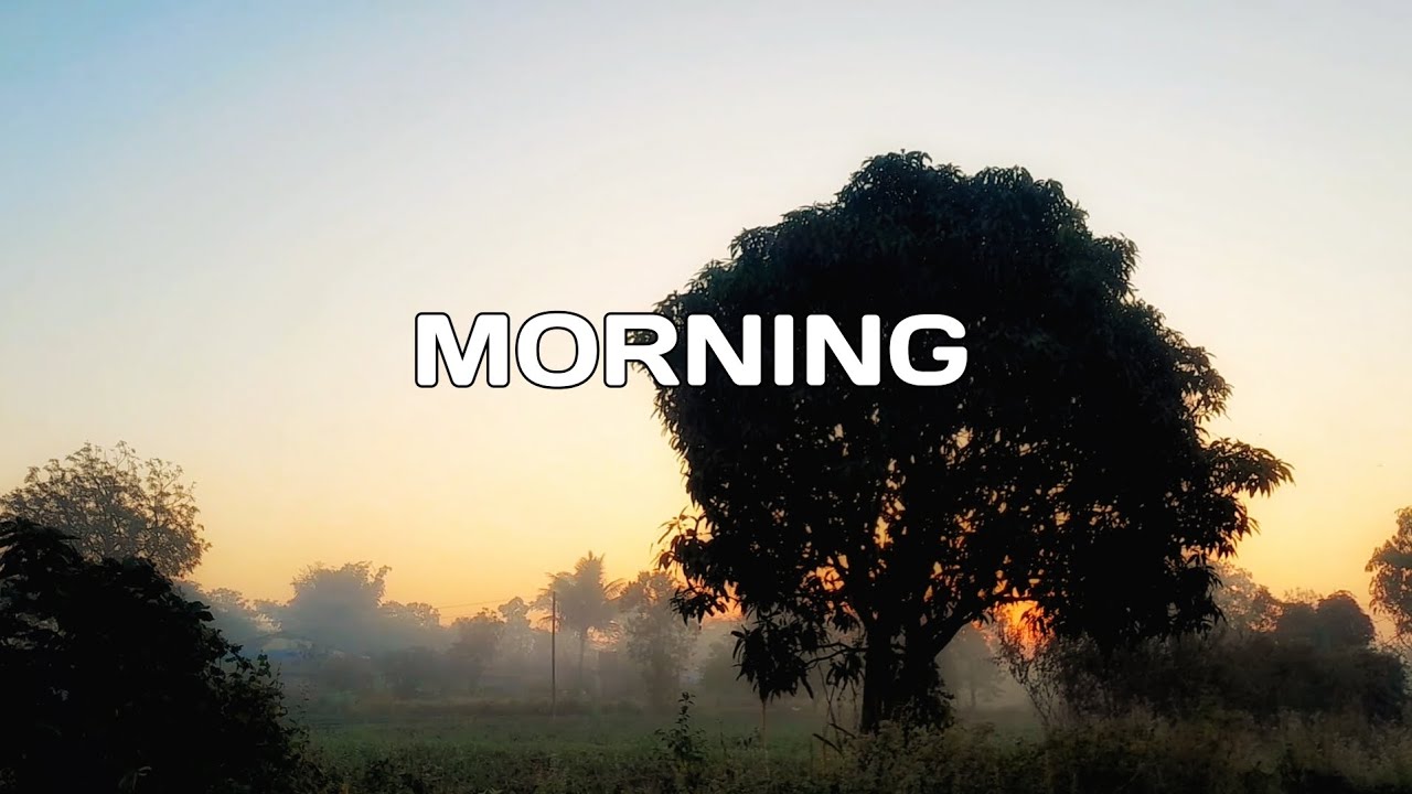 The Magical Morning View || Cinematic Nature Video|| Morning With Nature 
