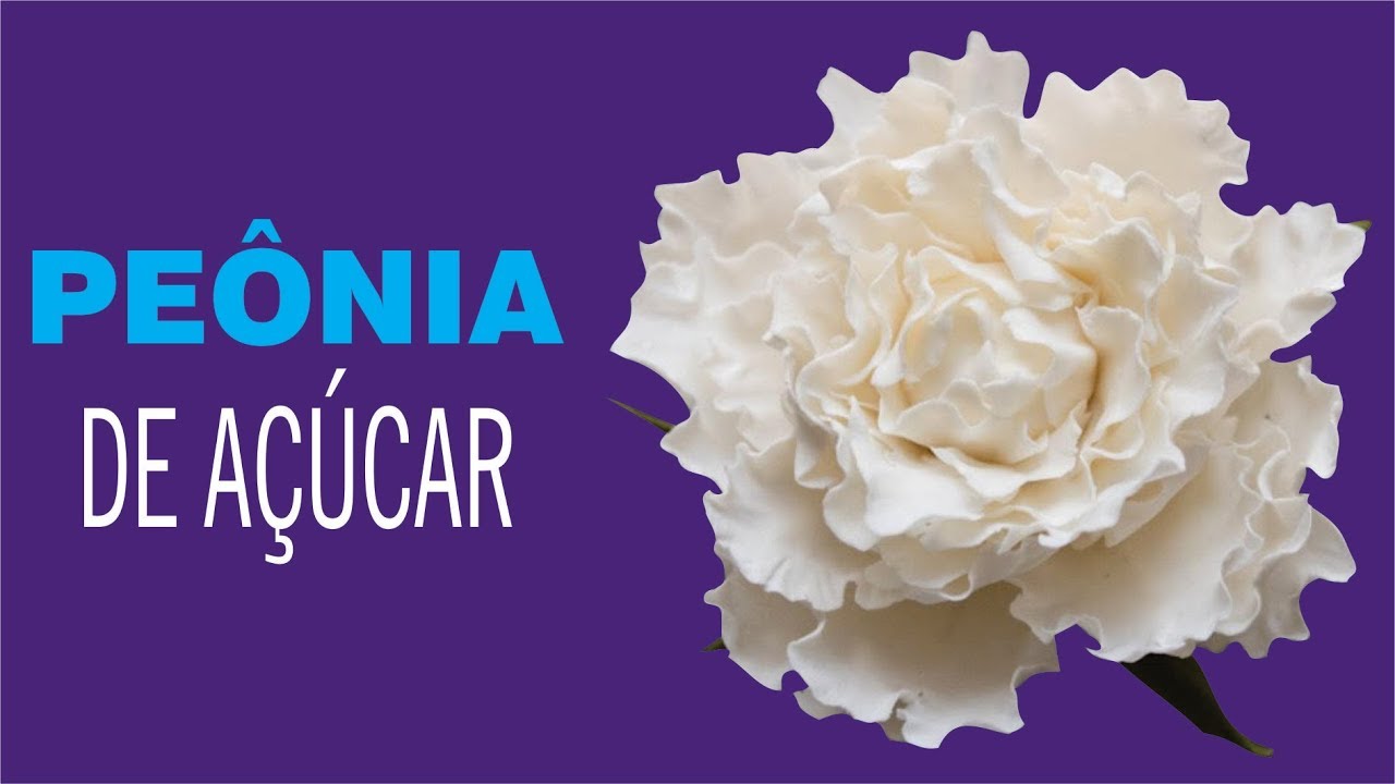 Como fazer uma Flor Peônia em Massa de Flor de Açúcar