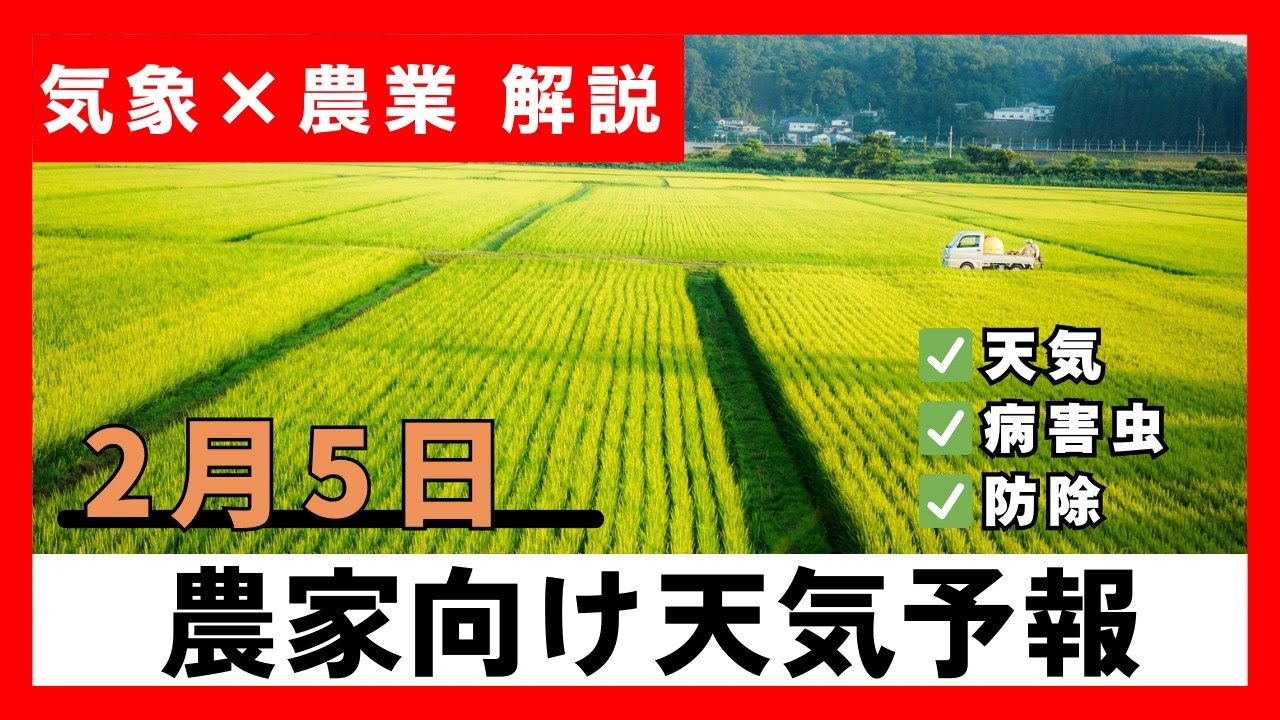【2月5日農家向け天気予報】雪と寒暖差による農業への影響懸念