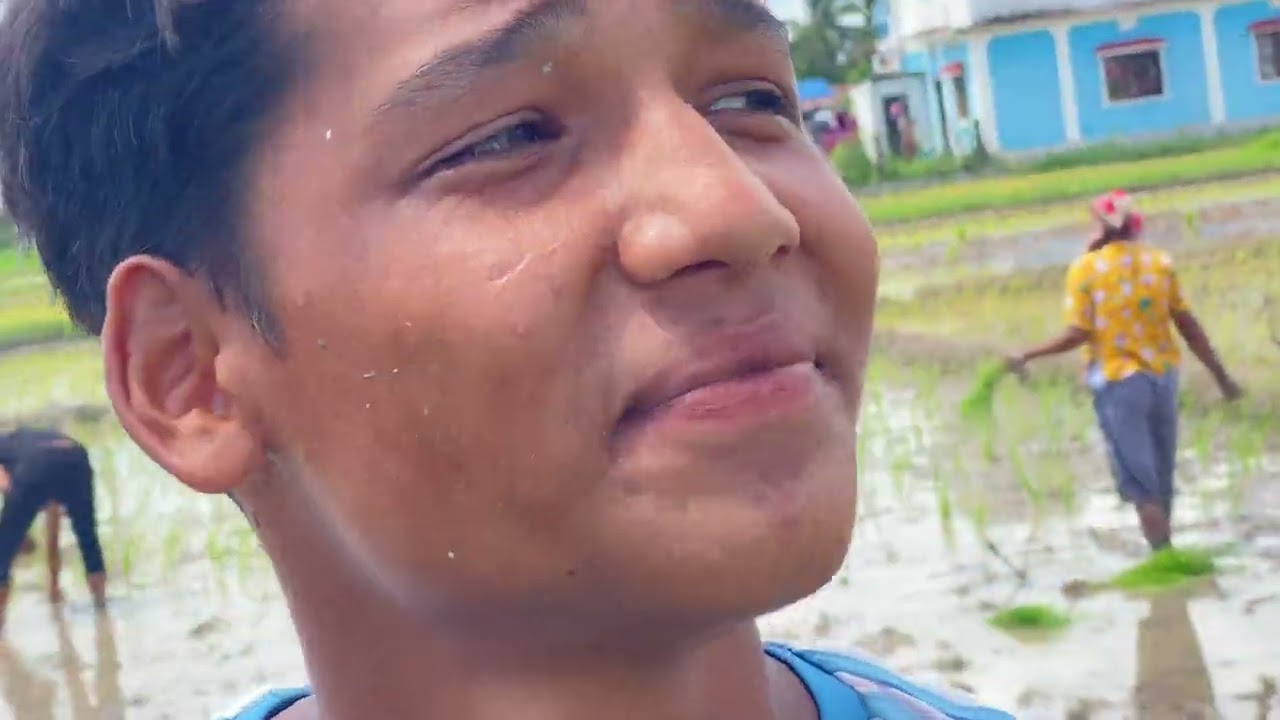khet ropai  aja   dhrey barsa paxi bishal pariyar vlog