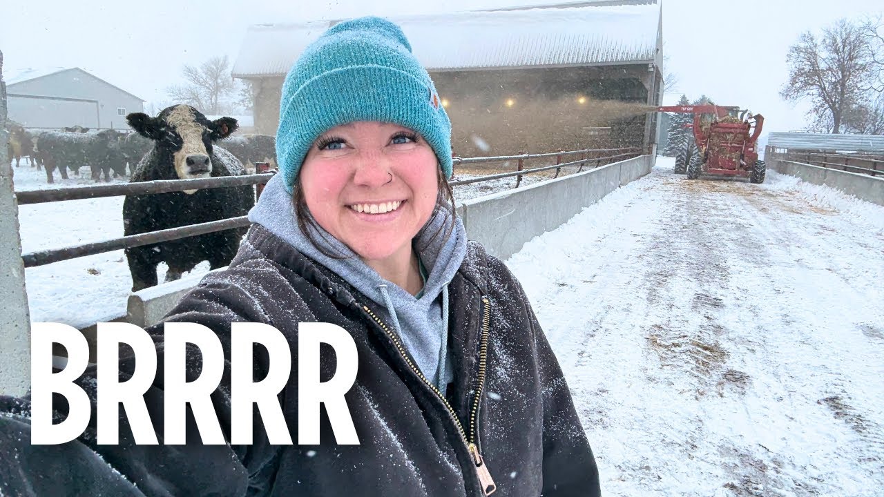 First Snow Storm of the Year!