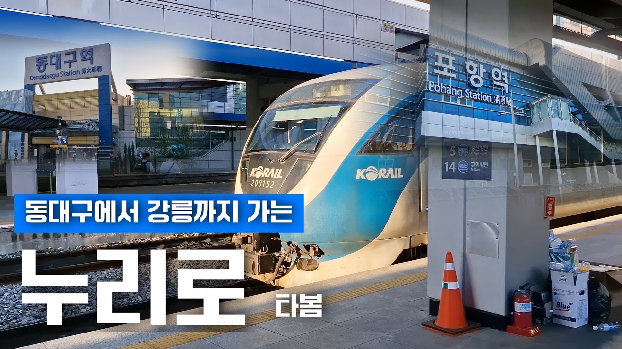 동대구에서 강릉까지 가는 누리로 타봄!