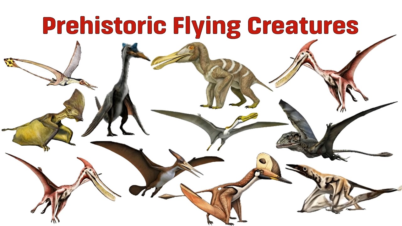 Prehistoric Flying Creatures 10 Amazing Pterosaurs Explained for Kids