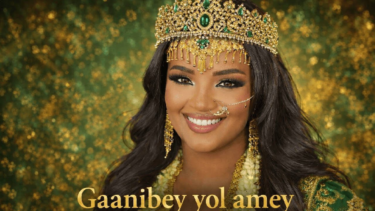 KARRY LEE - Gaanibey yol amey | Remix Talha