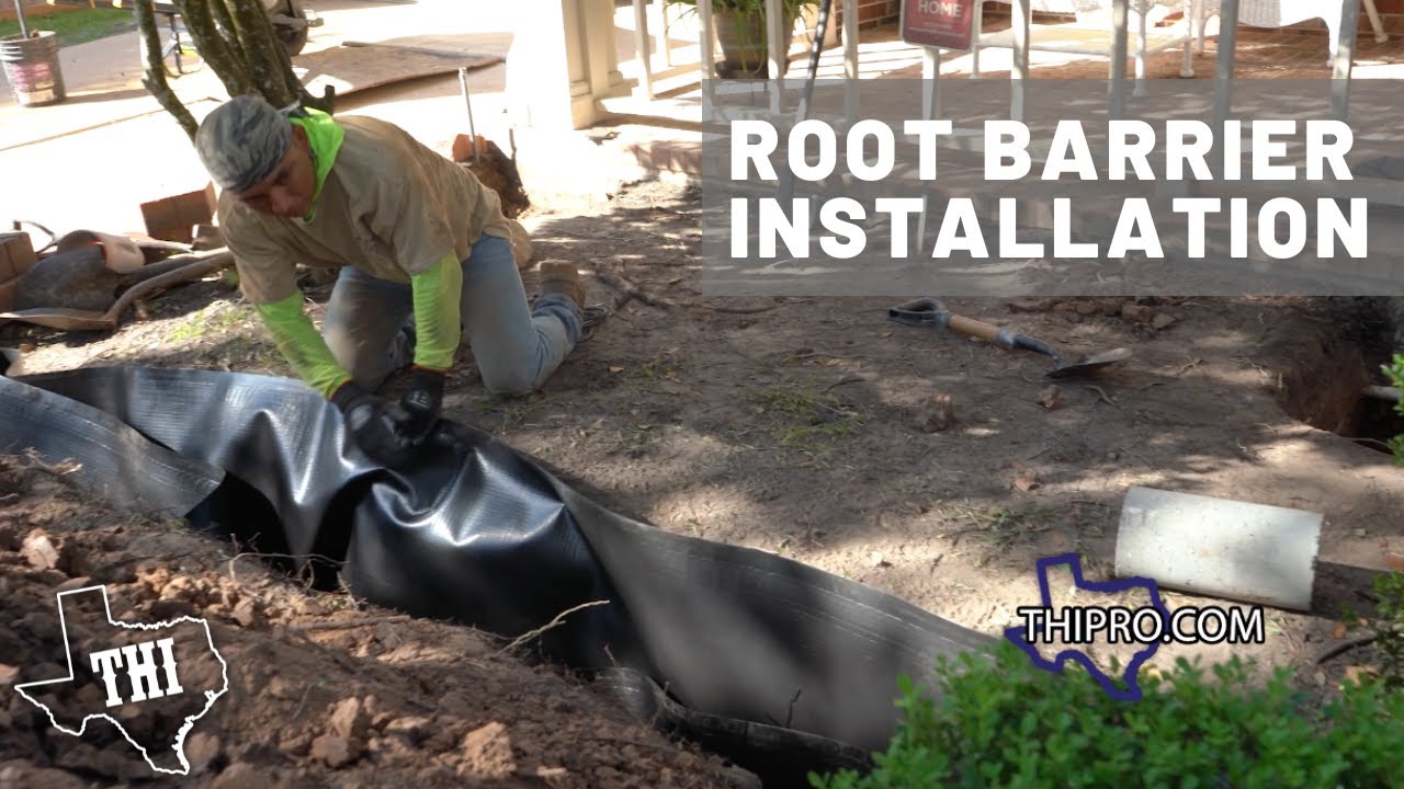 Root Barrier Installation