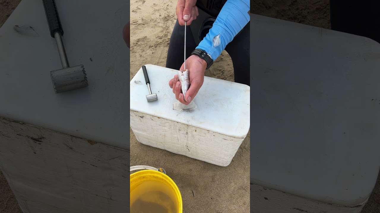 Easy Mackerel And Squid Bait! 