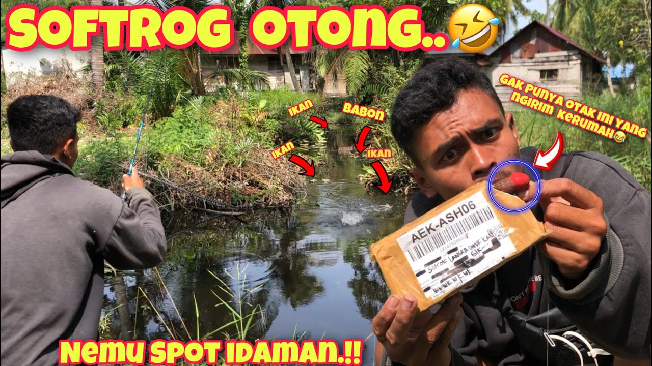 KEDATANGAN PAKET NYASAR BERISI SOFTROG LANGKA & GA SENGAJA MENEMUKAN SPOT IDAMAN PARA CASTINGERRRR‼️