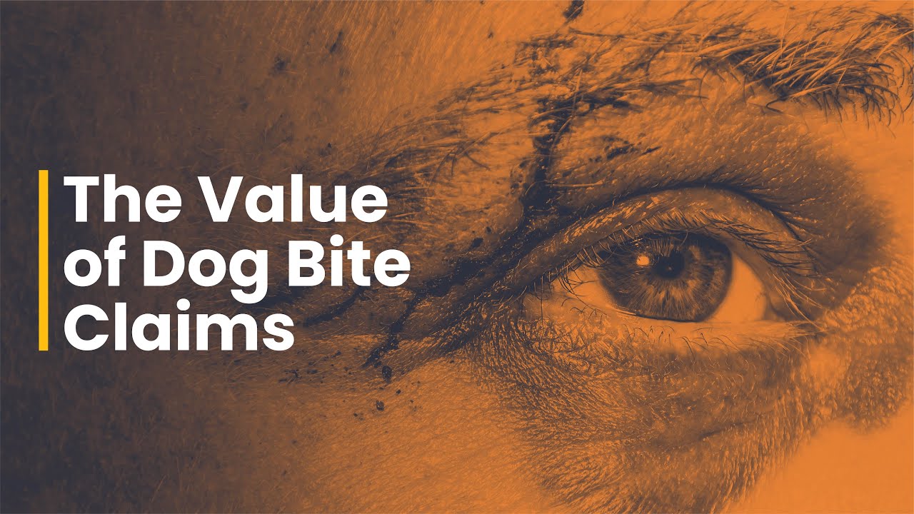 How Much Is a Dog Bite Claim Worth?