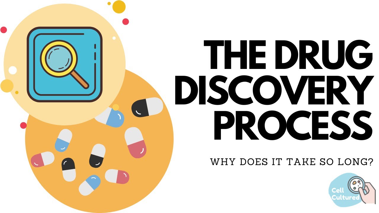 The Drug Discovery Process: Why Does it Take So Long?