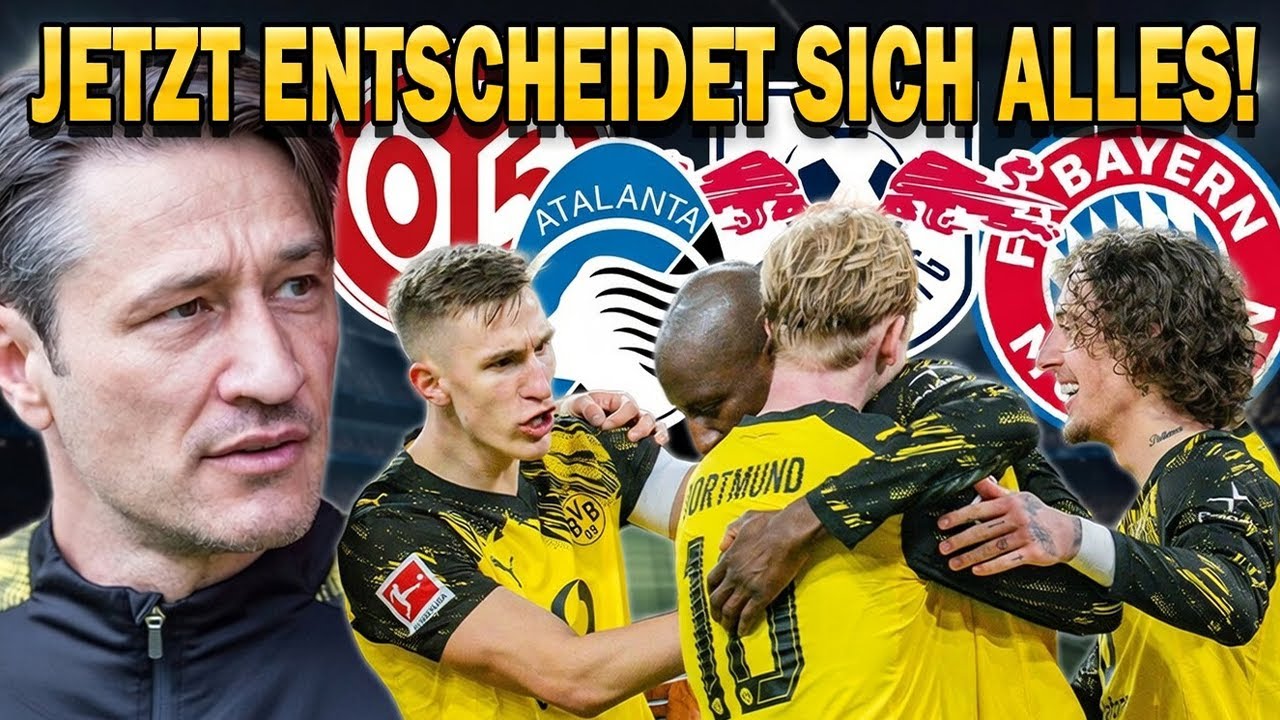BVB: Die Wochen der ENTSCHEIDUNG! Was geht gegen Bayern, Atalanta & Co.?