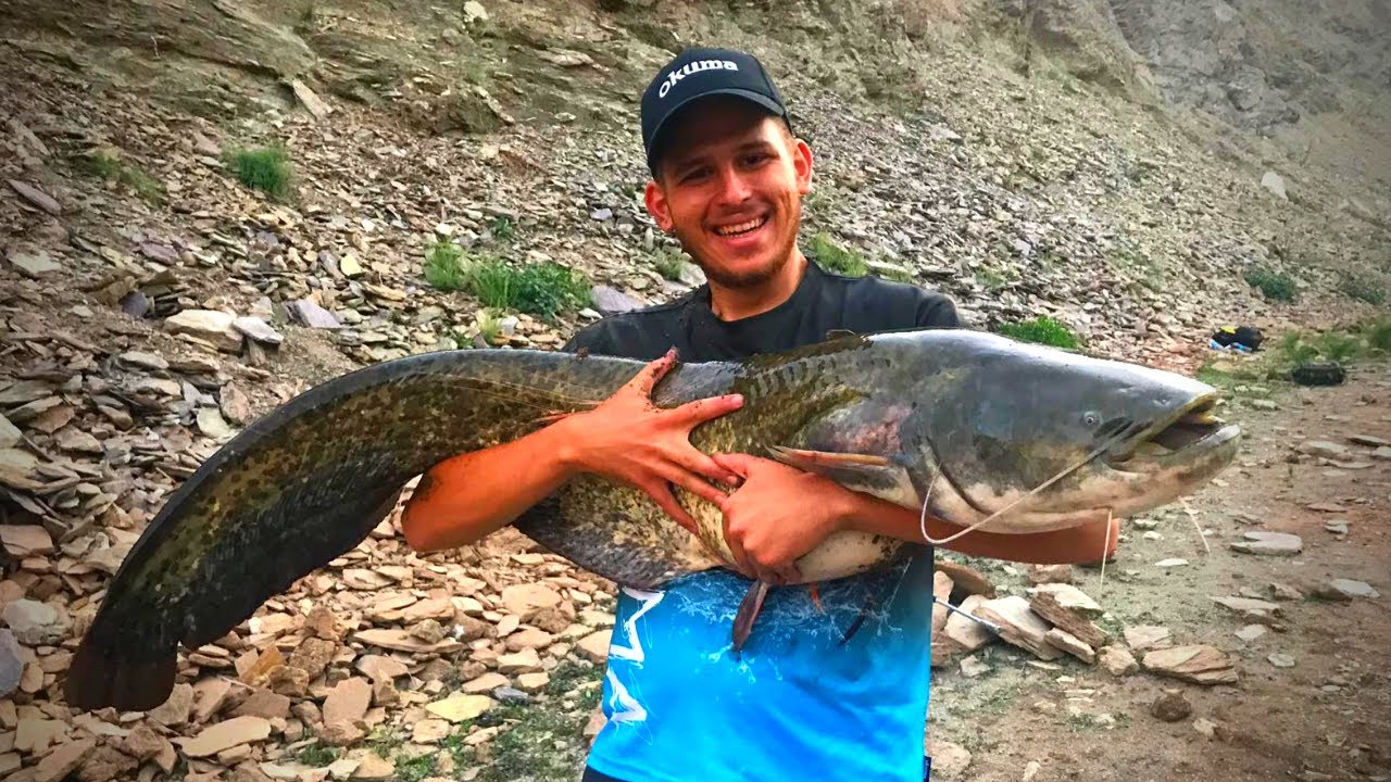 AT ÇEK YÖNTEMİ İLE 20 KG YAYIN BALIĞI AVI (TÜRKİYE) - catfish spinning! (TURKEY)