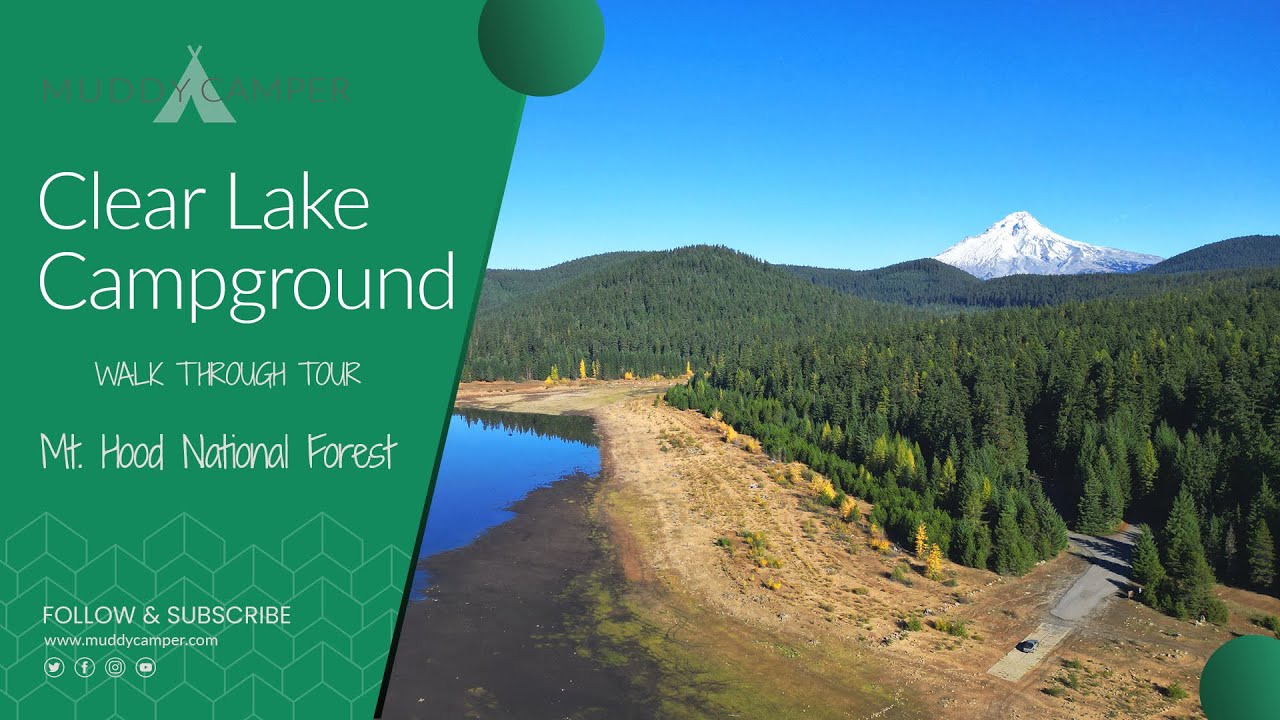Clear Lake Campground - Mt. Hood National Forest, Oregon | Walkthrough