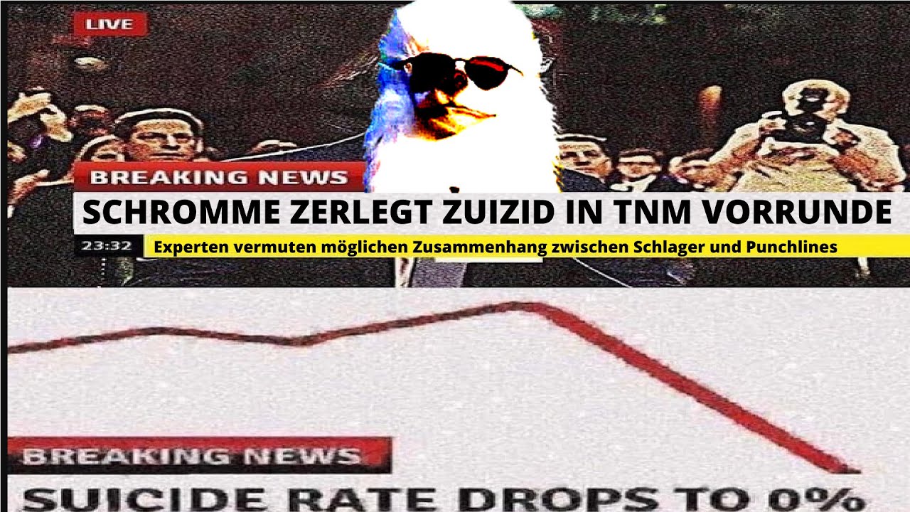 Schromme Schlachtschiff vs. Zuizid║ VR ║ TNM Rap Battle S4 ║ prod. by RGHNCK