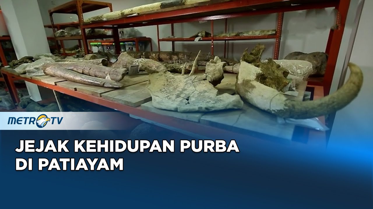 Melawan Lupa - Jejak Kehidupan Purba Di Patiayam