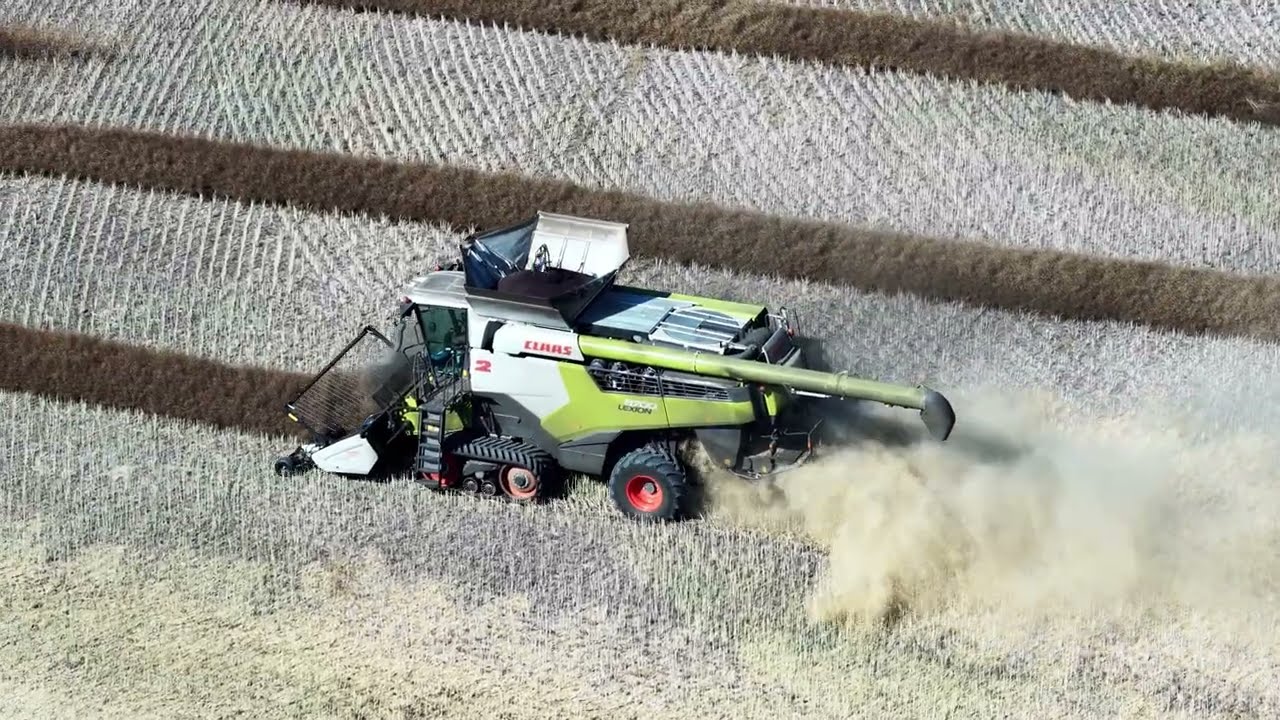 Harvest in Saskatchewan 2025 Aerial Footage