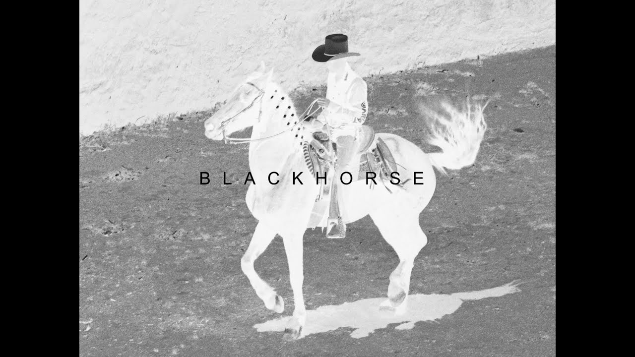 dip - black horse (official video)