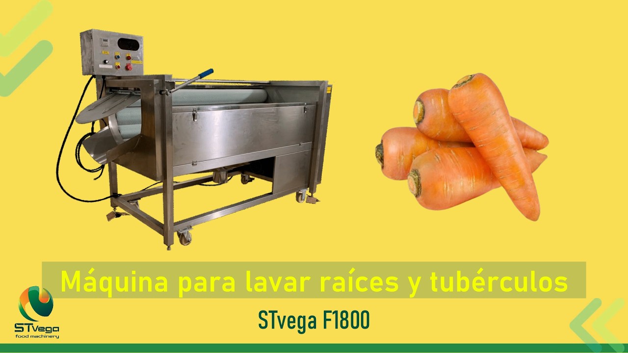 Máquina STvega F1800 para lavar/limpiar raíces y tubérculos: zanahoria, remolacha, patata