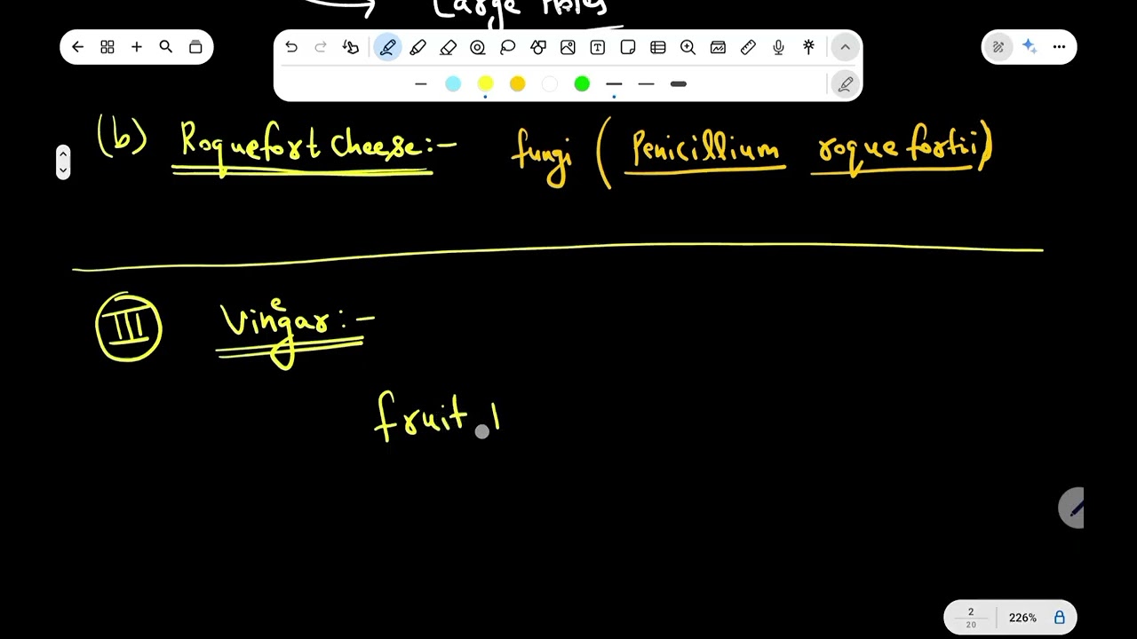 Microbes in Domestic and Industrial Product Making | Useful Microorganisms Explained