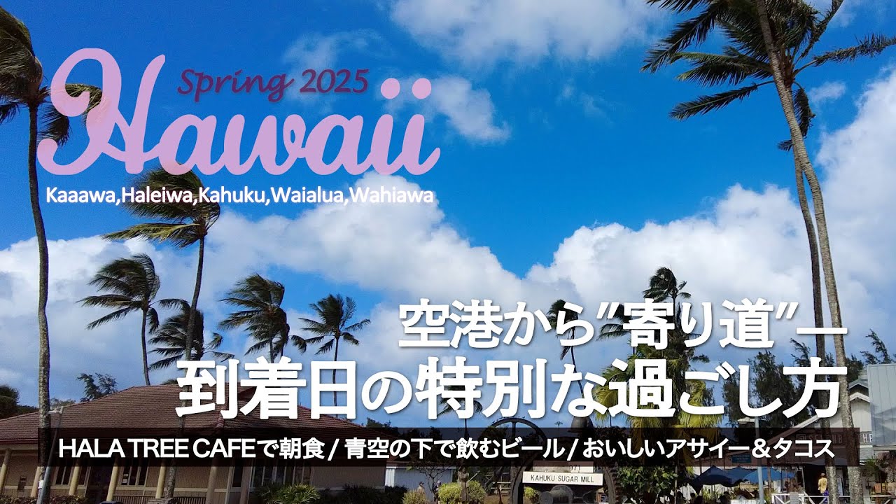 【2025春ハワイ】空港からカアアワへ！海が見えるカフェから始まる1日 │ 青空の下でビールを楽しんでからの │ カフク、ハレイワを回ってワヒアワで調達した晩ごはんは... │ Hawaii Vlog