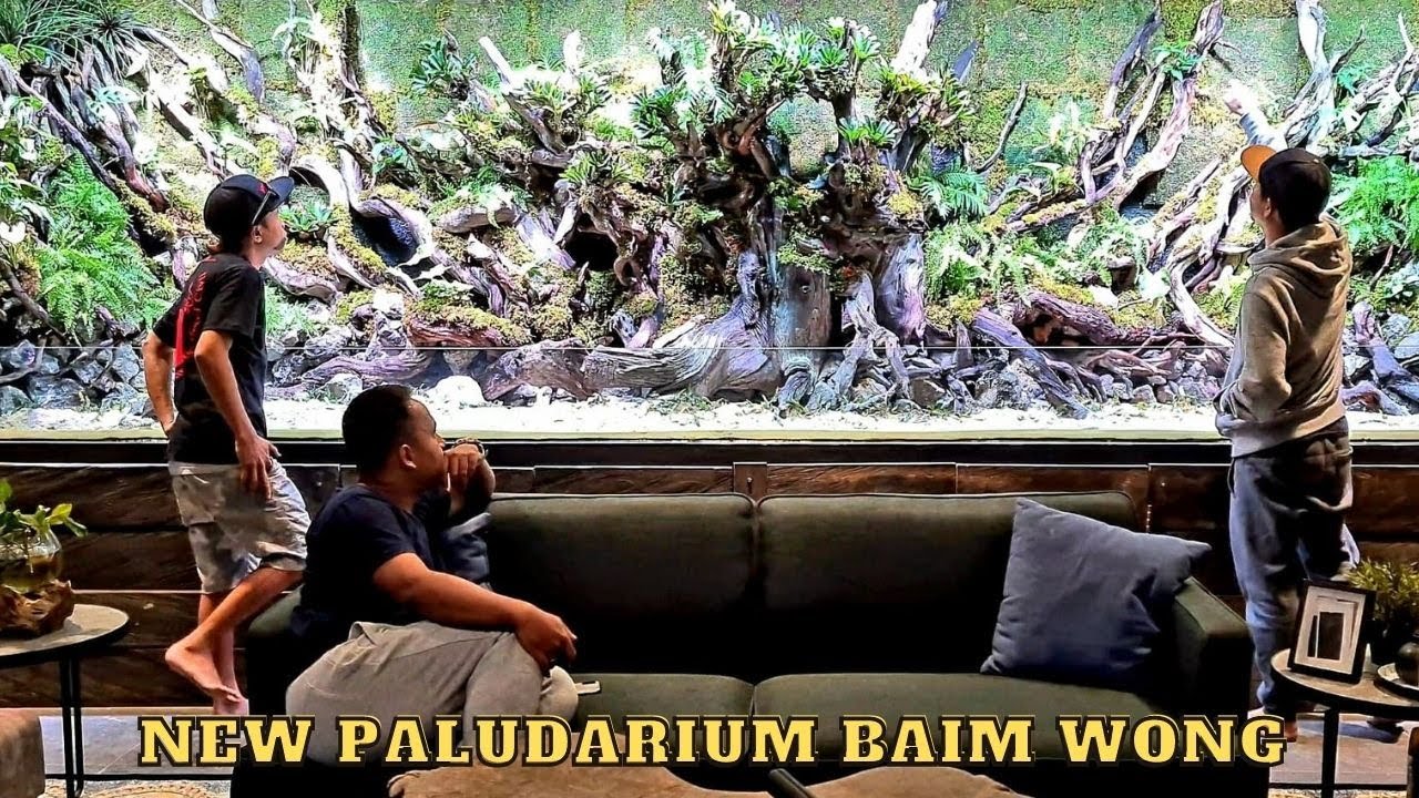AKHIRNYA !!!  PALUDARIUM VIRAL BAIM WONG SELESAI