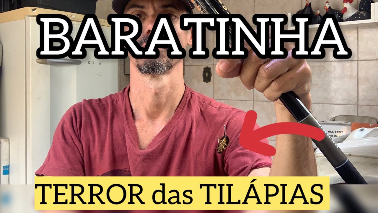 # PESCARIA COM AS BARATINHAS O TERROR DA TILAPIAS #tilapia #pescaria #pescanabatida