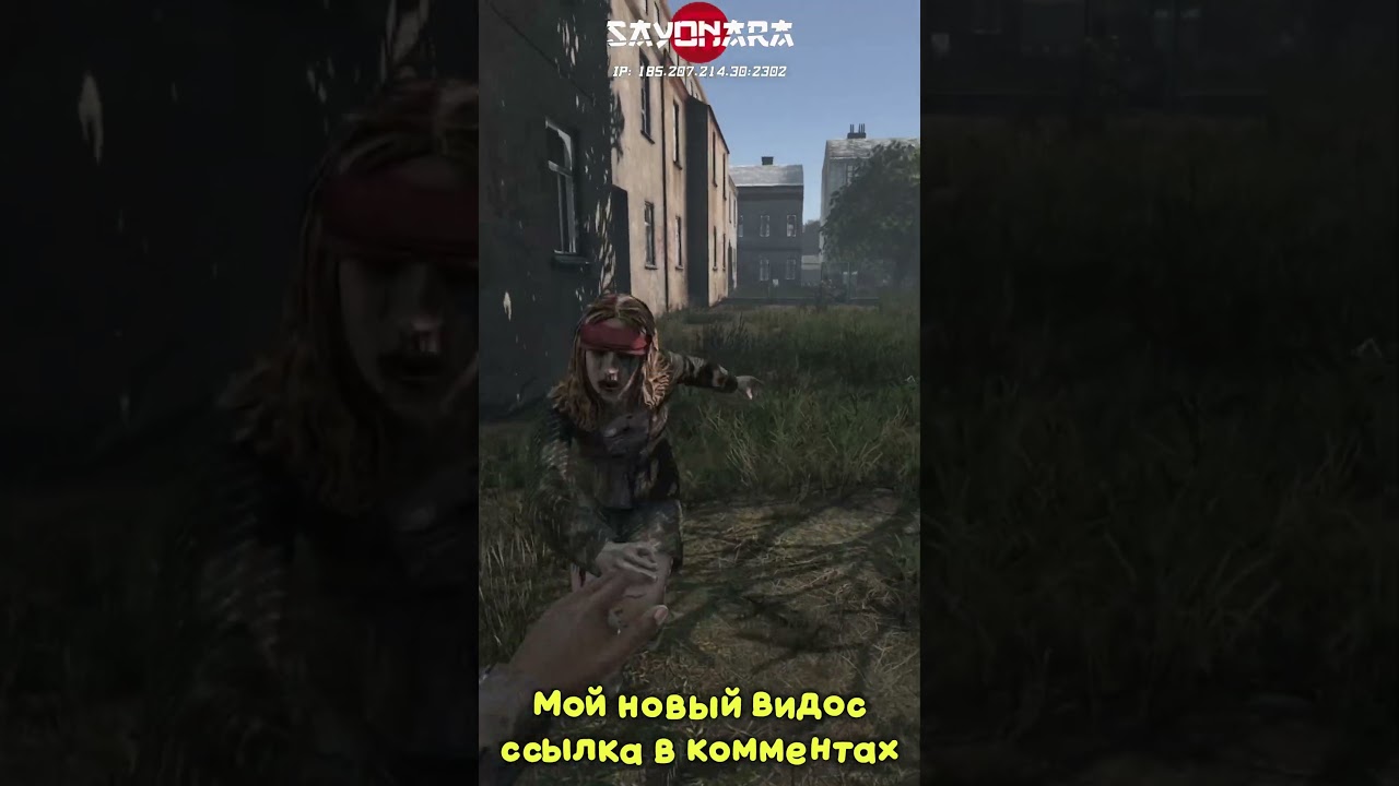 Береговой забив #dayz #dayzgameplay #dayzstandalone #sayonaradayz #дейз #memes #shorts