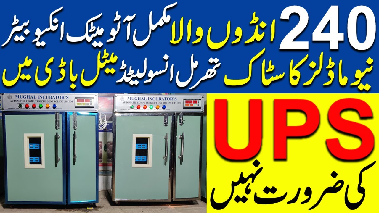 240 eggs Capacity fully Auto Incubators in  thermal Insulated  Metal Body No Need any UPS for this