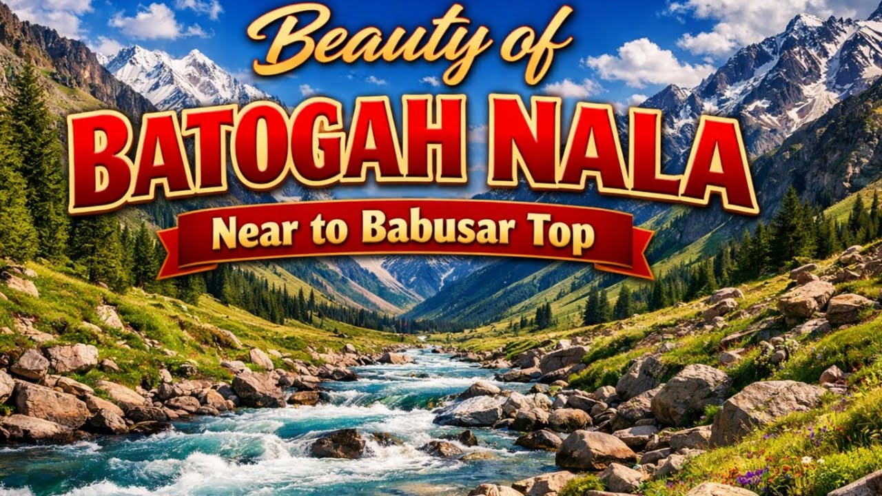 The Hidden Gem | Batogah Nala Next to the Babusar Top | Chillas Gilgit Baltistan Pakistan 
