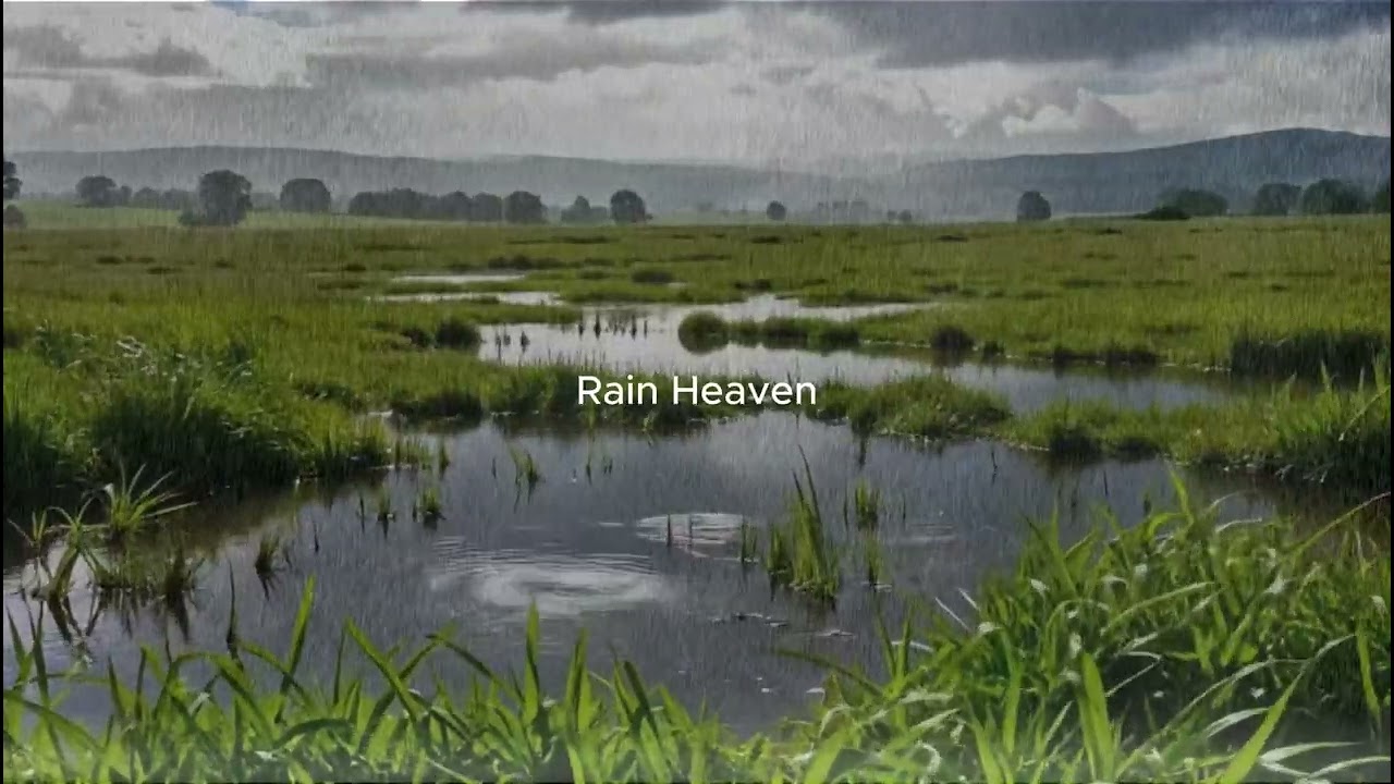Heavy Rain Sounds Outside Window | Cozy Sleep Atmosphere