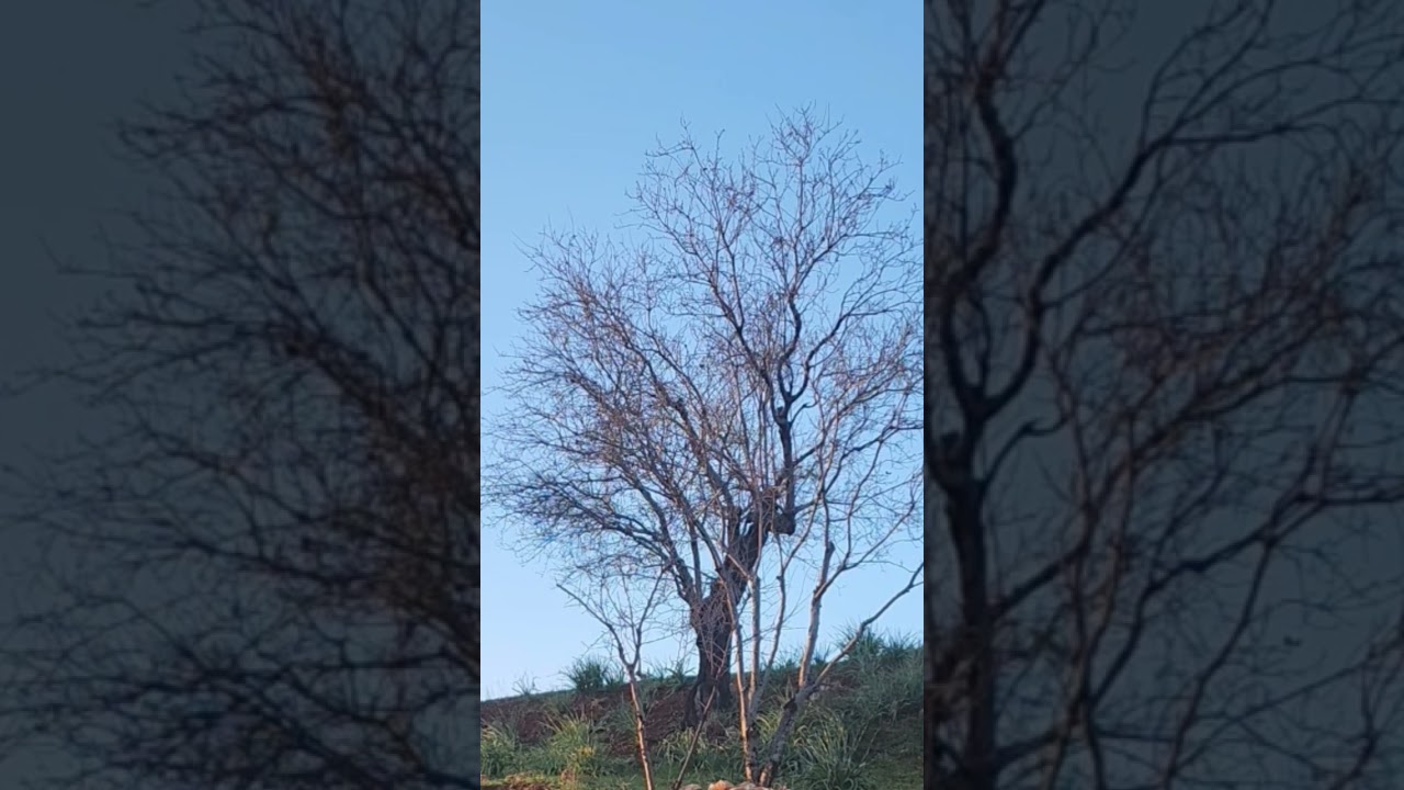 كل موسم صيد سمن وأنتوا بخير يا أحباب