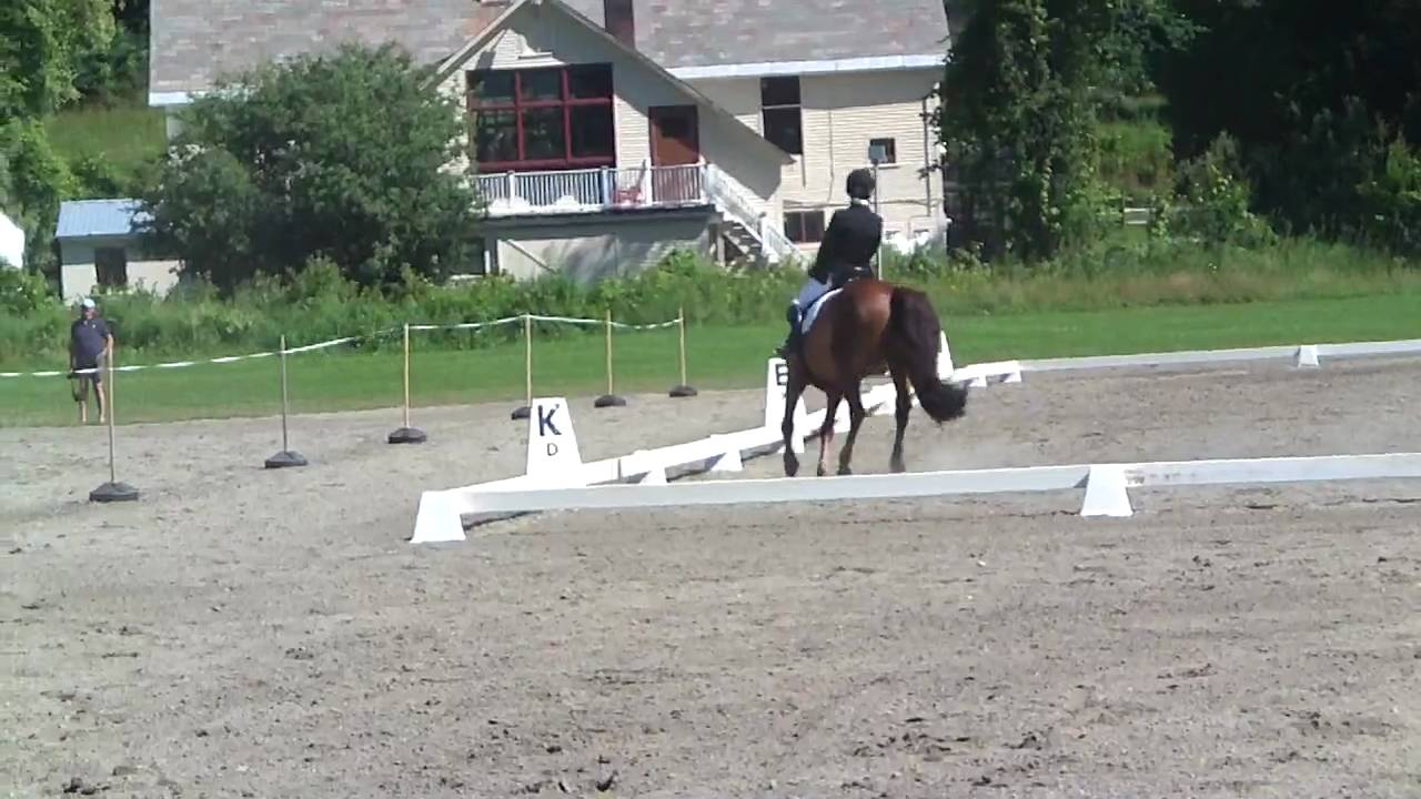 Teddy (Diamond HW Statesman) and Haley at GMHA July 2010