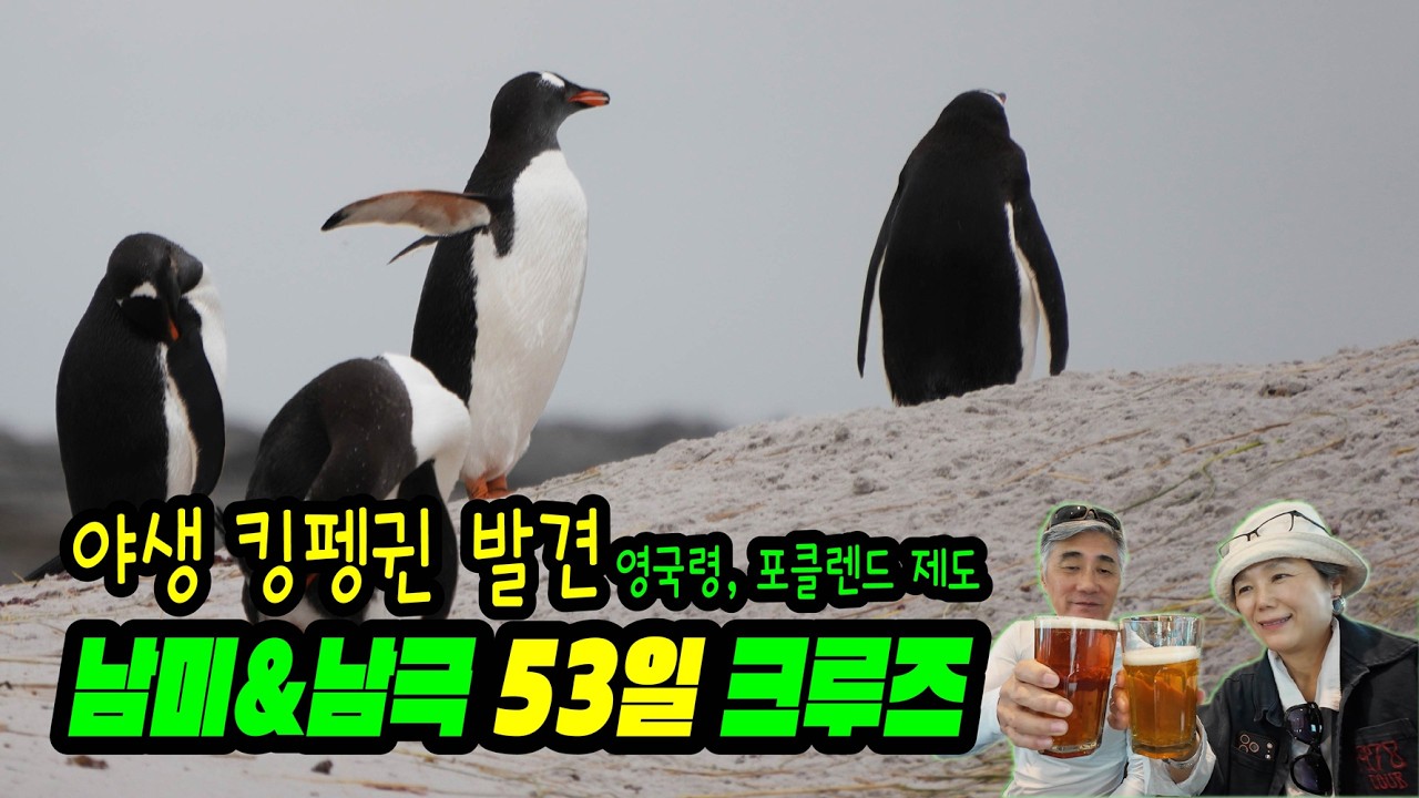 그냥 내가 하고 싶은 대로 그냥 내비둬!