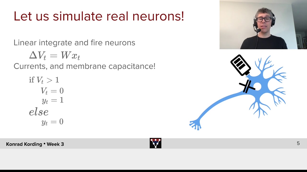 Overview and Integrate-and-Fire Neurons