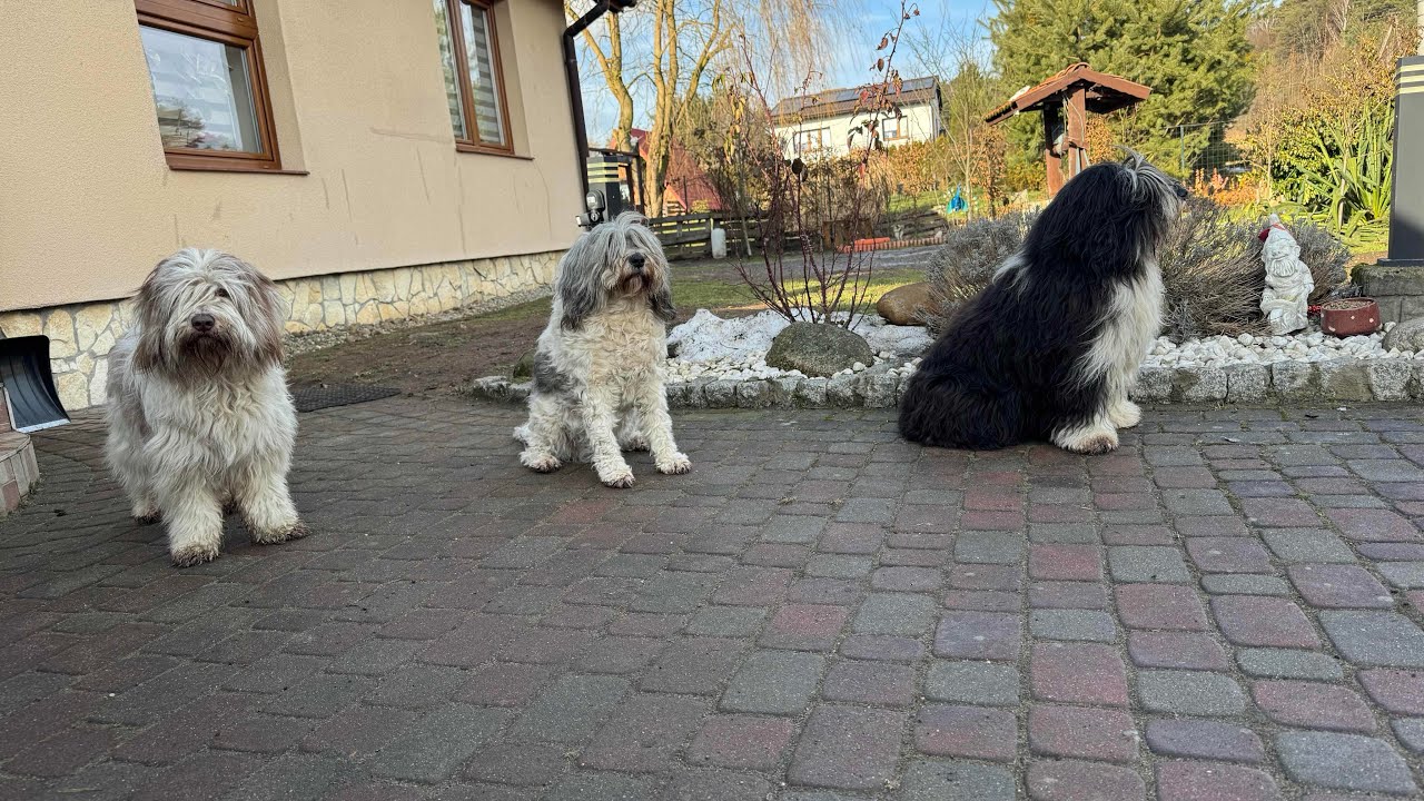 WERA championem Polski ! 