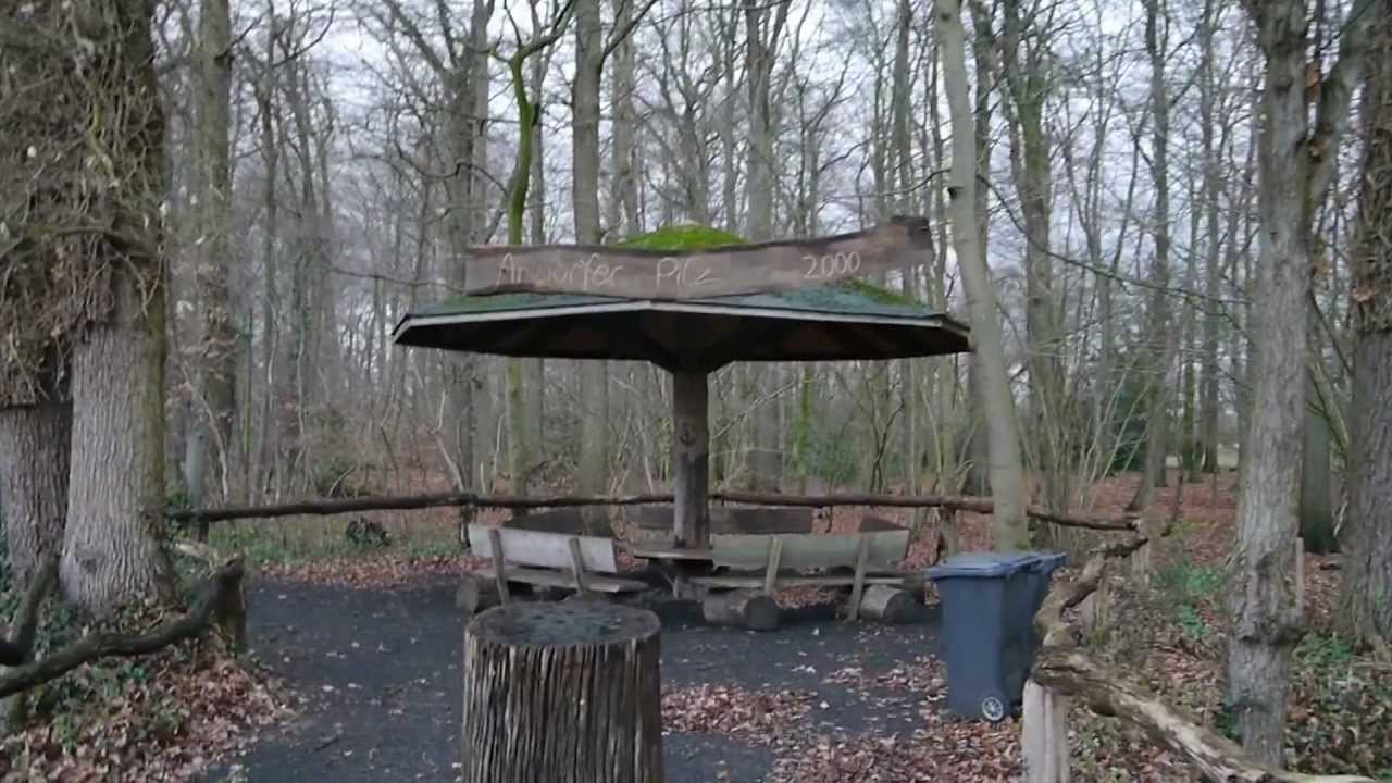 Wetterpilz in Wettringen-Andorf