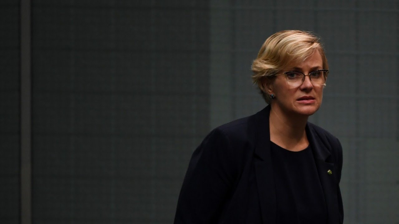 Zali Steggall has experienced ‘two significant failures’: Andrew Bragg