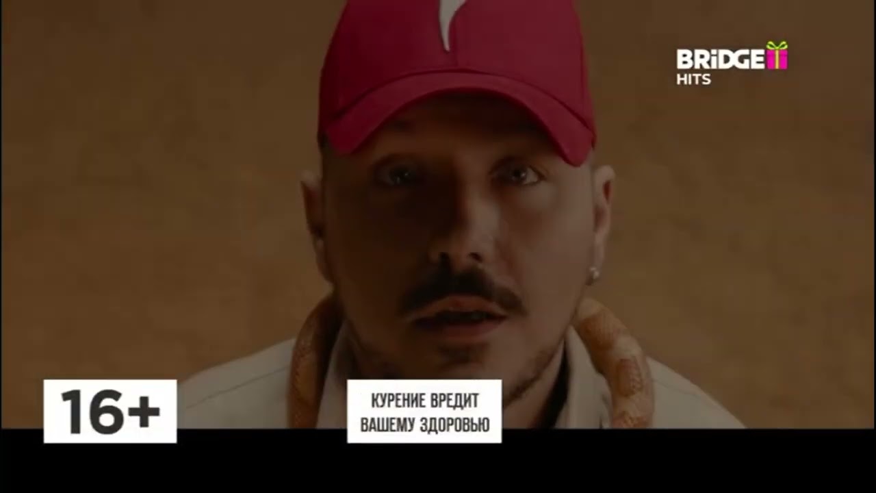 Смена логотипов с обычного на новогодний всех телеканалов Bridge Media 2024-2025