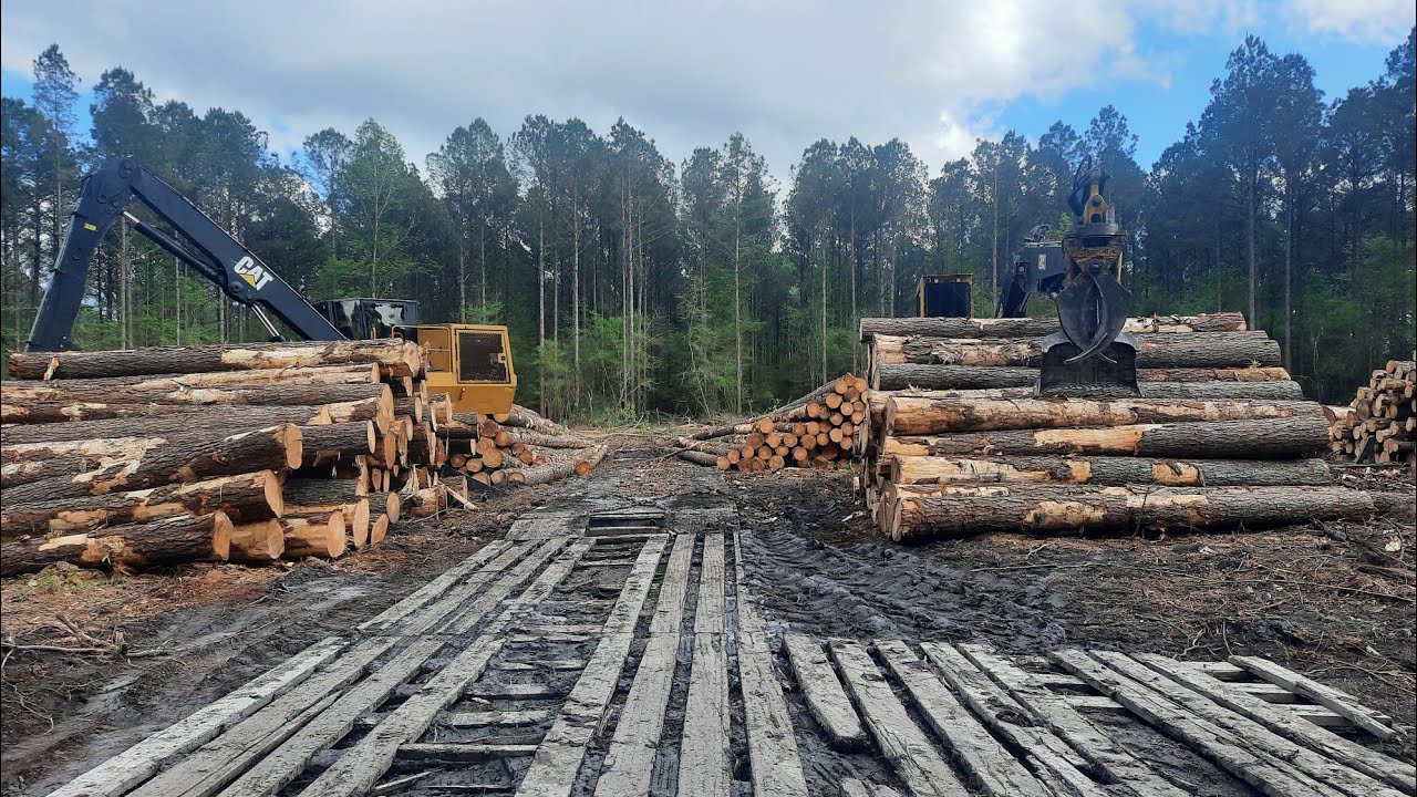 Heavy Equipment Logging Operation