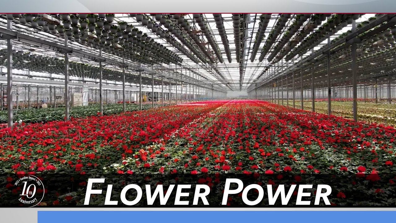 Flower Power: The Metrolina Greenhouses | Carolina Impact